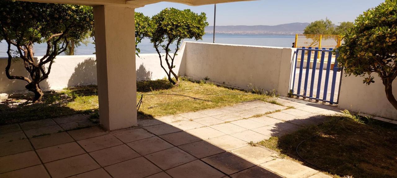 Sea View Perea Apartment Peraía エクステリア 写真