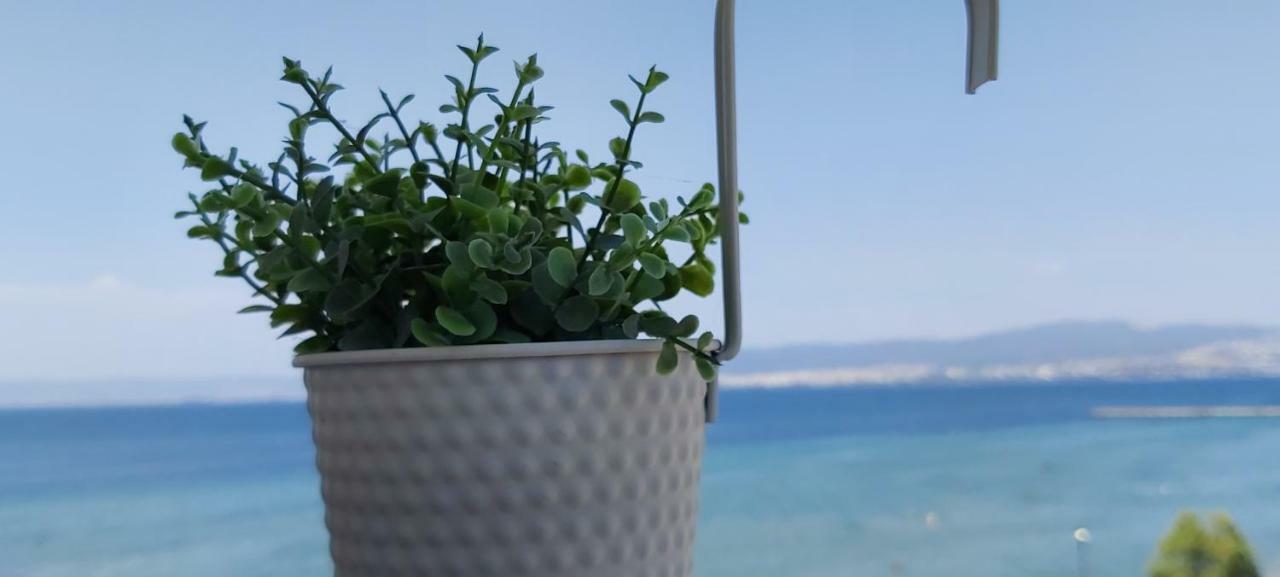 Sea View Perea Apartment Peraía エクステリア 写真